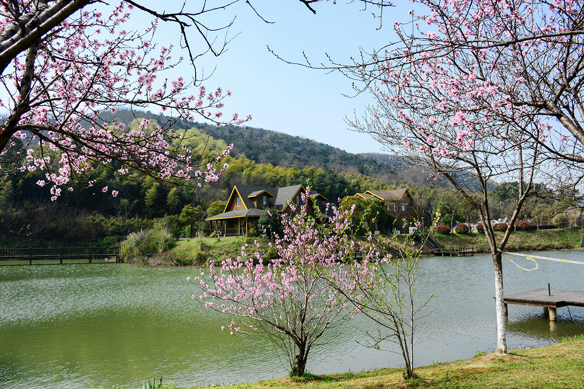 Agricultural Expo Garden