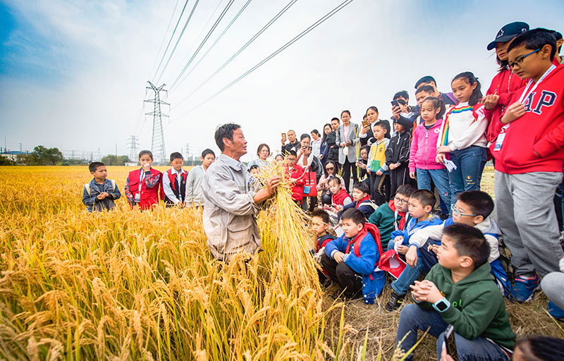 Modern Agriculture Experiencing Two-Day Tour